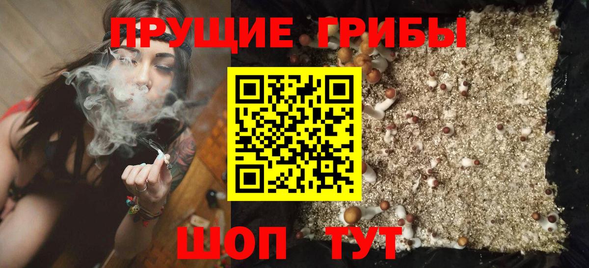 Псилоцибиновые грибы ЛСД Звенигород