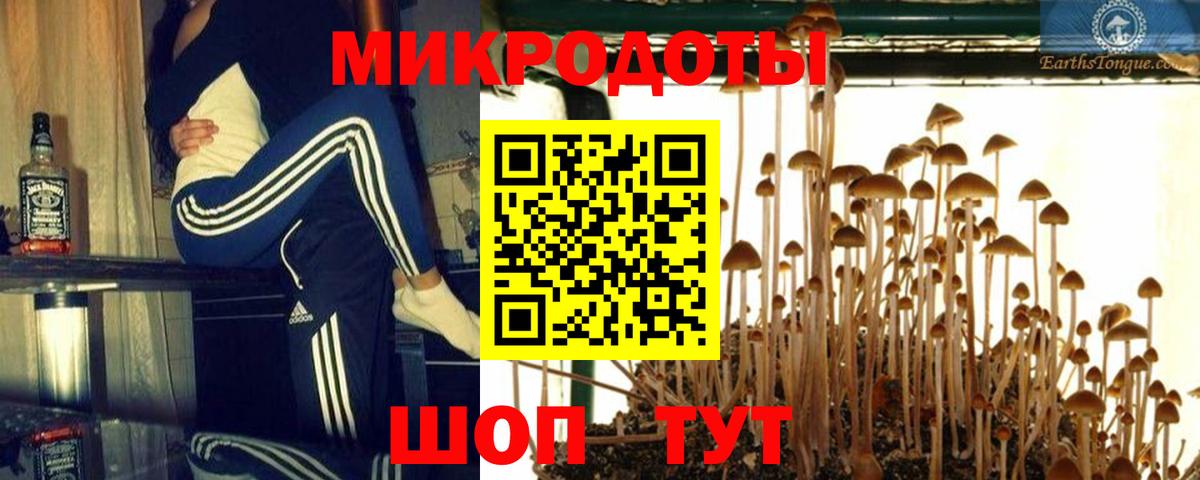 Псилоцибиновые грибы Psilocybine cubensis  Вход с VPN  Псилоцибиновые грибы ЛСД  Звенигород 